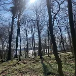 Fewo-broda-dorf Mit Garage -tollensesee Strand-
