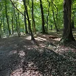 Fewo-broda-dorf Mit Garage -tollensesee Strand- *
