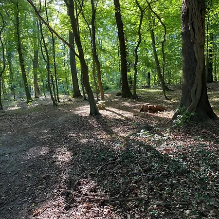 Fewo-broda-dorf Mit Garage -tollensesee Strand- *